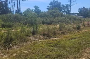 2049 Road 5913, Cleveland, TX 77327 - Photo 4