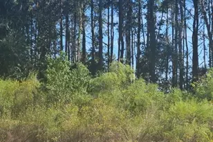 2049 Road 5913, Cleveland, TX 77327 - Photo 2