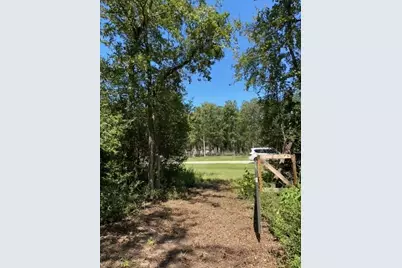 Unk Sawmill Road, Franklin, TX 77856 - Photo 4