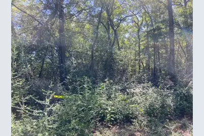 Unk Sawmill Road, Franklin, TX 77856 - Photo 6