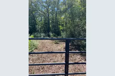 Unk Sawmill Road, Franklin, TX 77856 - Photo 10