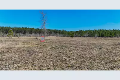 15973 Ridge Oak Road, Willis, TX 77378 - Photo 18