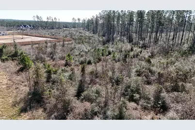 15973 Ridge Oak Road, Willis, TX 77378 - Photo 16