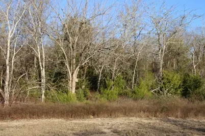 22 Chappell Reserve Drive, Washington, TX 77880 - Photo 10