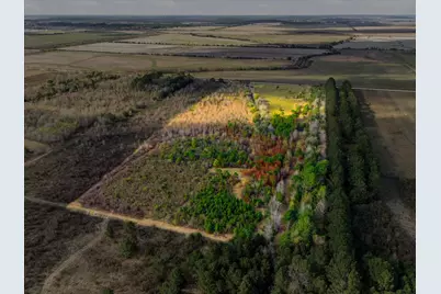 0 Heller Road, Anahuac, TX 77514 - Photo 6