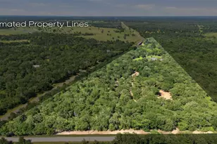 3190 Fm 1361, Somerville, TX 77879 - Photo 46