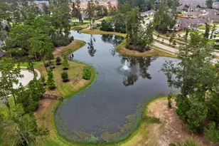 14215 Black Cyn Ln, Conroe, TX 77384 - Photo 30