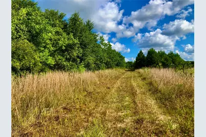 1516 Fm 2518 Road, Cleveland, TX 77327 - Photo 18