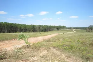 Tbd22 Fm 256 N, Woodville, TX 75979 - Photo 1