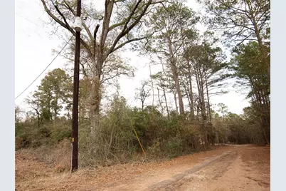 Todd Mission Dr Todd Mission Drive, Plantersville, TX 77363 - Photo 4