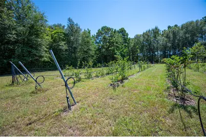 20545 Farm To Market 92 S, Fred, TX 77616 - Photo 28