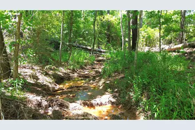 Tbd Cr 2125, Crockett, TX 75835 - Photo 12