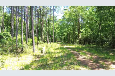 Tbd Cr 2125, Crockett, TX 75835 - Photo 22