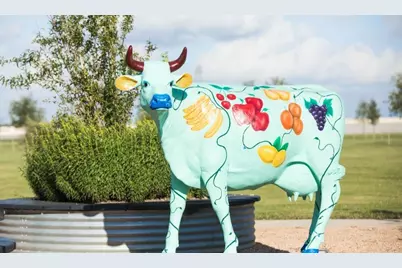 415 Yellow Dandelion Lane, Richmond, TX 77406 - Photo 34