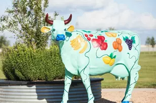 415 Yellow Dandelion Ln, Richmond, TX 77406 - Photo 34