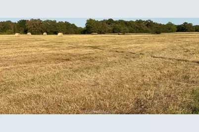 1290 Gun Range Road, Somerville, TX 77879 - Photo 4
