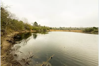 11695 Fm 1511, Oakwood, TX 75831 - Photo 8