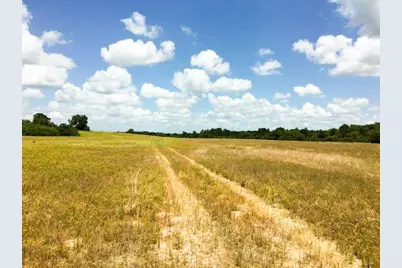 11695 Fm 1511, Oakwood, TX 75831 - Photo 20