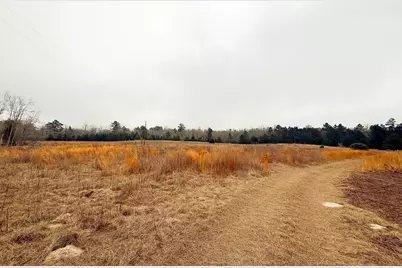 11695 Fm 1511, Oakwood, TX 75831 - Photo 24