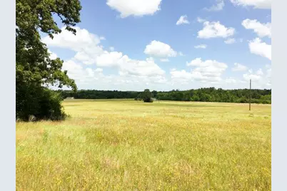 11695 Fm 1511, Oakwood, TX 75831 - Photo 18
