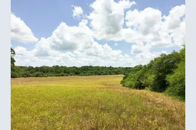 11695 Fm 1511, Oakwood, TX 75831 - Photo 16