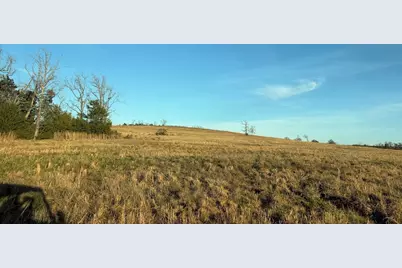 Tbd State Highway 75, Buffalo, TX 75831 - Photo 26