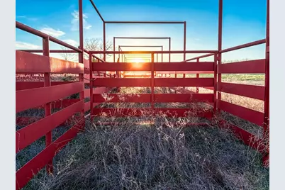 Tbd State Highway 75, Buffalo, TX 75831 - Photo 20