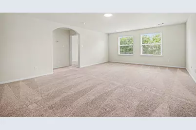 1439 Barras Street, Alvin, TX 77511 - Photo 22