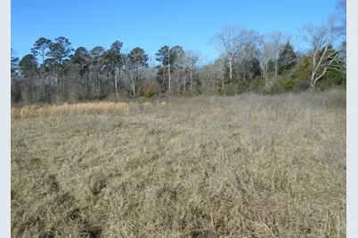 Tbd Fm-2712, Crockett, TX 75835 - Photo 10