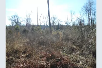 Tbd Fm-2712, Crockett, TX 75835 - Photo 14