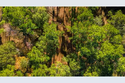 24722 Ranching Way, Montgomery, TX 77356 - Photo 6