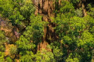 24722 Ranching Wy, Montgomery, TX 77356 - Photo 6