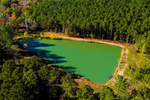 24722 Ranching Wy, Montgomery, TX 77356 - Photo 4