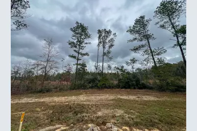 T-4 Highway 190, Newton, TX 75966 - Photo 4