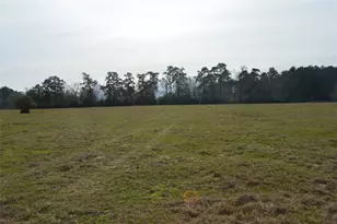 Tbd000 Wiggins, Conroe, TX 77302 - Photo 2