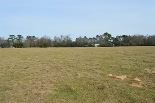 Tbd000 Wiggins, Conroe, TX 77302 - Photo 6