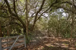 95 Red Tip Ln, Brenham, TX 77833 - Photo 24