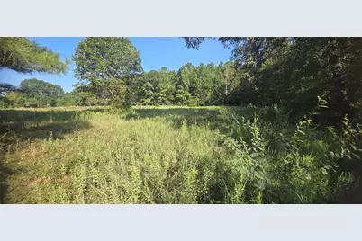 19 Whispering Pines Road, New Waverly, TX 77358 - Photo 8