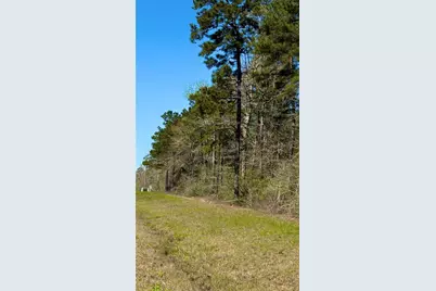 126 Great Plains Way, New Waverly, TX 77358 - Photo 4