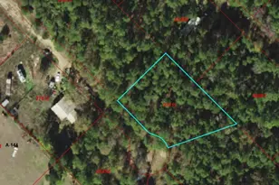 Tbd Possum Walk Ln, New Waverly, TX 77358 - Photo 1