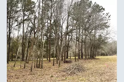00 Eunice Pvt, Alvin, TX 77511 - Photo 18
