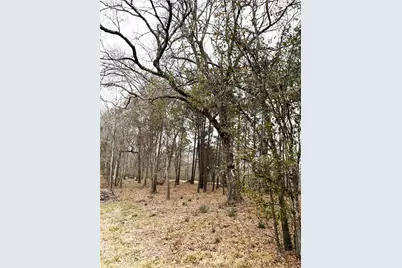 00 Eunice Pvt, Alvin, TX 77511 - Photo 24