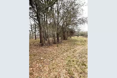 00 Eunice Pvt, Alvin, TX 77511 - Photo 20