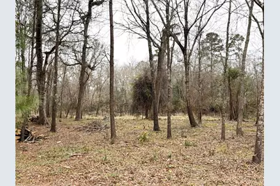 00 Eunice Pvt, Alvin, TX 77511 - Photo 16