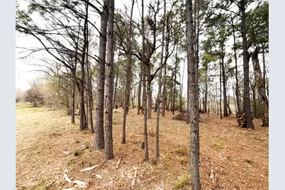 00 Eunice Pvt, Alvin, TX 77511 - Photo 12