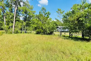 2736 Whitetail Forest Rd, Kountze, TX 77625 - Photo 8