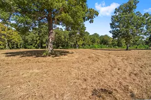 272 Spitaleri, Onalaska, TX 77360 - Photo 2