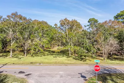 Lot 2 Ryan Drive, Alvin, TX 77511 - Photo 10