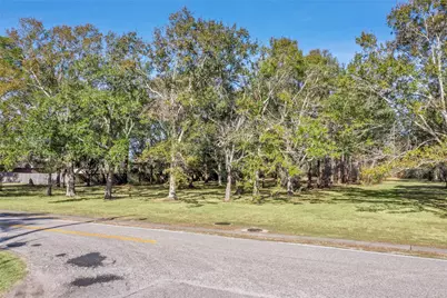 Lot 2 Ryan Drive, Alvin, TX 77511 - Photo 12