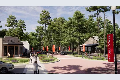 11267 Dance Hall Drive, Montgomery, TX 77316 - Photo 2